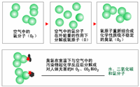 臭氧消毒器的結(jié)構(gòu)是怎樣的？